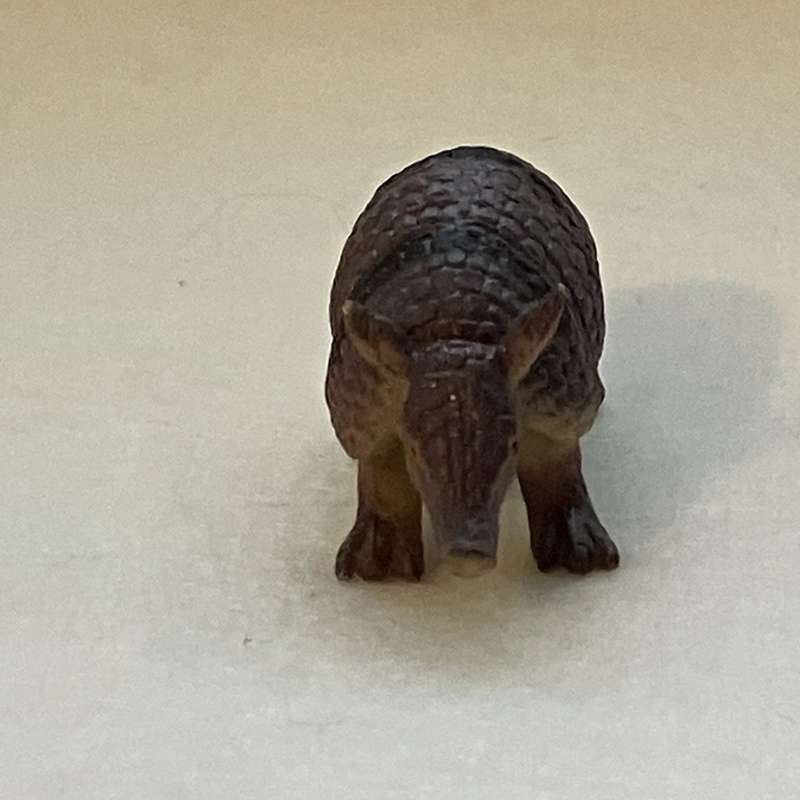 Miniature Armadillo