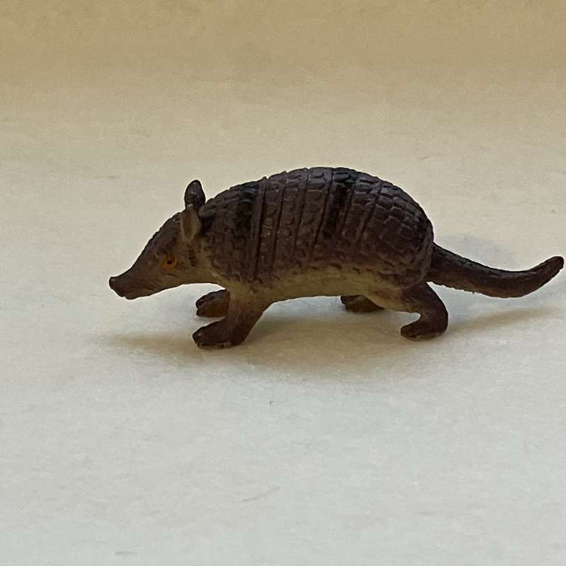 Miniature Armadillo