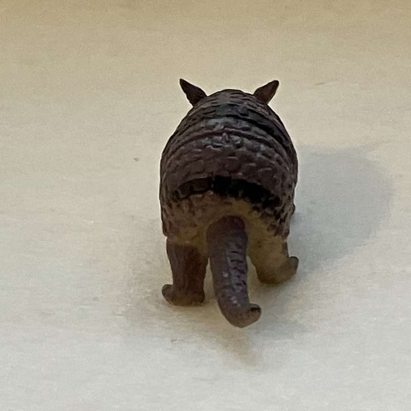 Miniature Armadillo