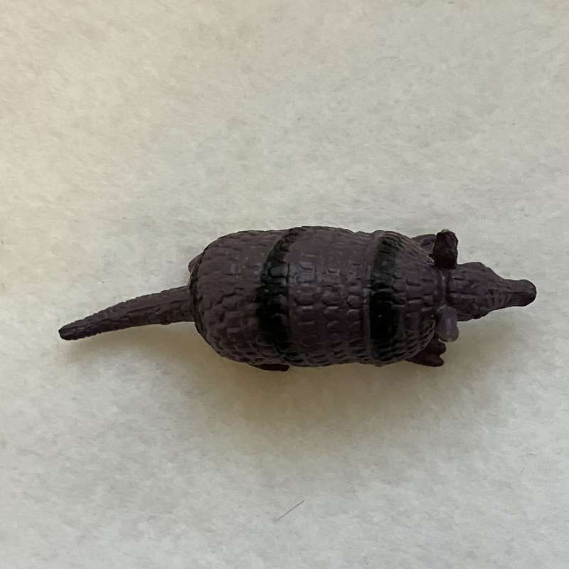 Miniature Armadillo