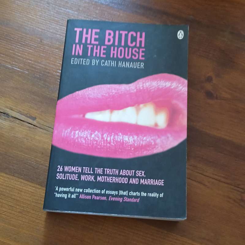 The Bitch in the House (Cathi Hanauer)