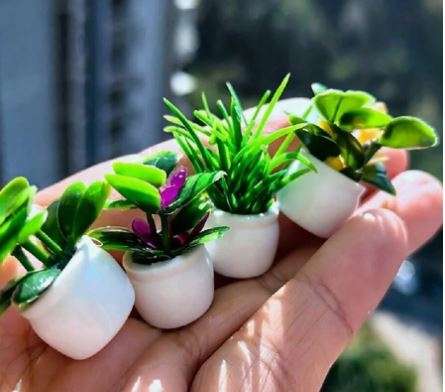 Potted Plants (Miniature, suitable for Printer's Tray or Fairy Garden)
