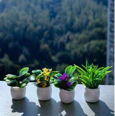 Potted Plants (Miniature, suitable for Printer's Tray or Fairy Garden)