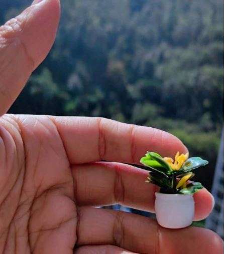 Potted Plants (Miniature, suitable for Printer's Tray or Fairy Garden)