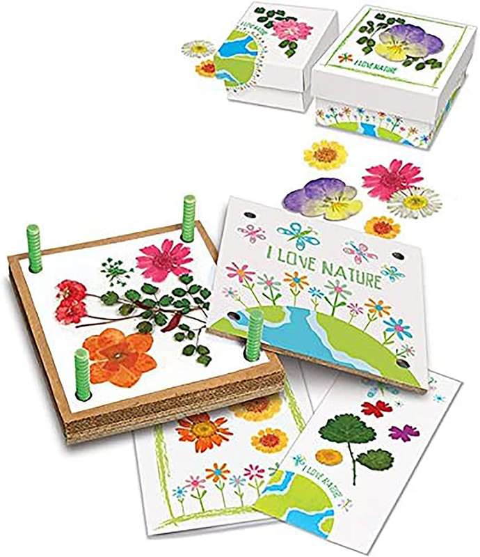 Pressed Flower Art Kit