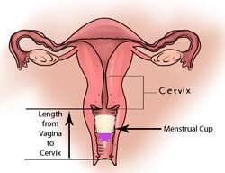 Medical Grade Silicone Menstrual Cup for Women Drain Valve (Small)