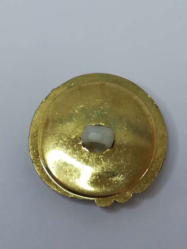 Round Shank Button (Pearl with 'Gold' Design)