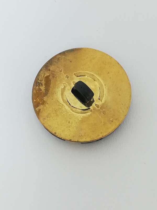 Round Shank Button Plastic (Black / 'Gold')