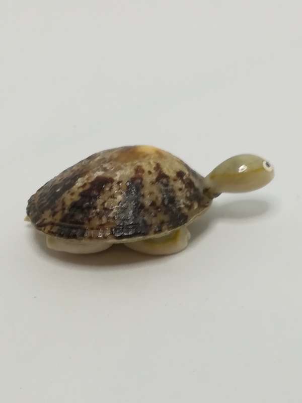 Miniature White & Mottled Sea Shells Tortoise (Miniature, suitable for printer's tray)