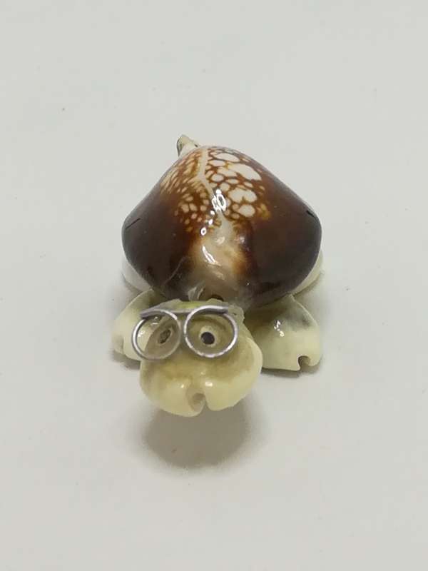Miniature White & Brown Sea Shells Tortoise Wearing Glasses - Design 1 (Miniature, suitable for p...