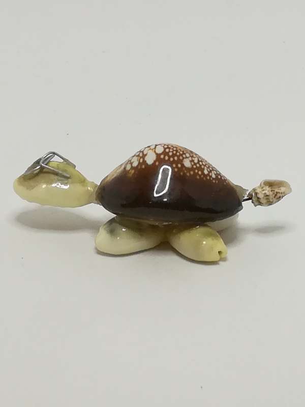 Miniature White & Brown Sea Shells Tortoise Wearing Glasses - Design 1 (Miniature, suitable for p...