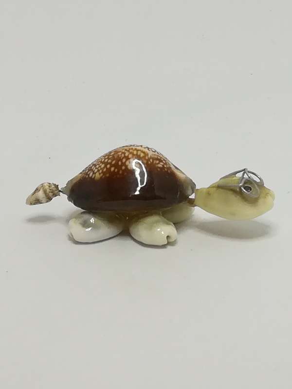 Miniature White & Brown Sea Shells Tortoise Wearing Glasses - Design 1 (Miniature, suitable for p...