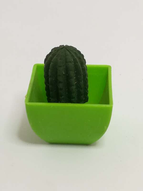 Miniature Cactus (Miniature, suitable for printer's tray)