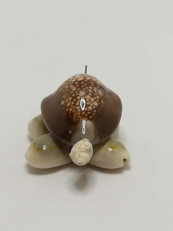 Miniature Brown & Beige Sea Shell Tortoise (Miniature, suitable for printer's tray)