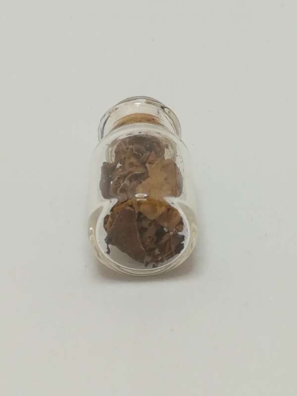 Miniature Glass Bottle Seeds (Miniature, suitable for printer's tray)