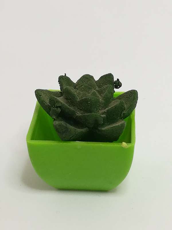 Miniature Cactus (Miniature, suitable for printer's tray)