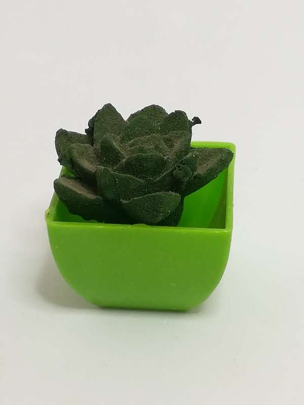 Miniature Cactus (Miniature, suitable for printer's tray)