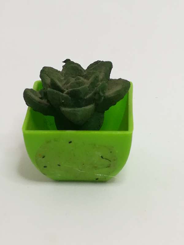 Miniature Cactus (Miniature, suitable for printer's tray)