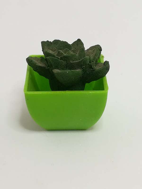 Miniature Cactus (Miniature, suitable for printer's tray)