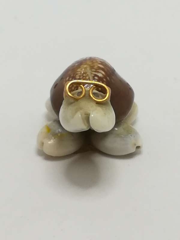Miniature White & Brown Sea Shells Tortoise Wearing Glasses - Design 3 (Miniature, suitable for p...