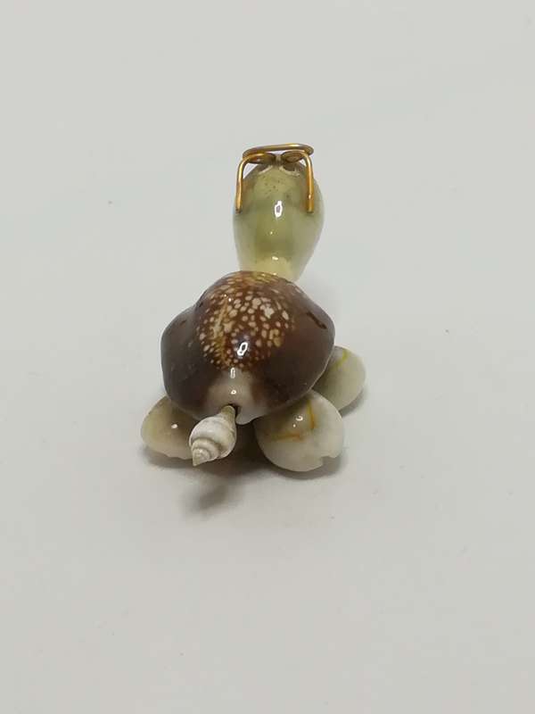 Miniature White & Brown Sea Shells Tortoise Wearing Glasses - Design 3 (Miniature, suitable for p...