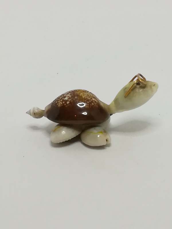 Miniature White & Brown Sea Shells Tortoise Wearing Glasses - Design 3 (Miniature, suitable for p...