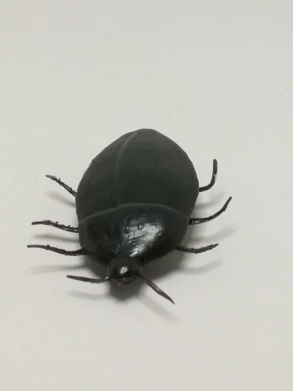 Miniature Black Big Cockroach (Miniature, suitable for printer's tray)