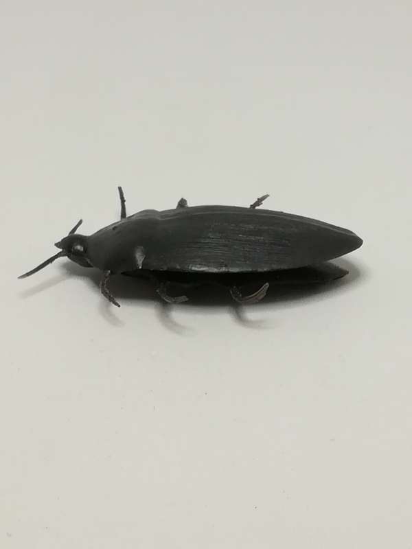 Miniature Black Big Cockroach (Miniature, suitable for printer's tray)