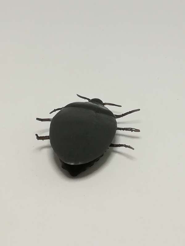 Miniature Black Big Cockroach (Miniature, suitable for printer's tray)