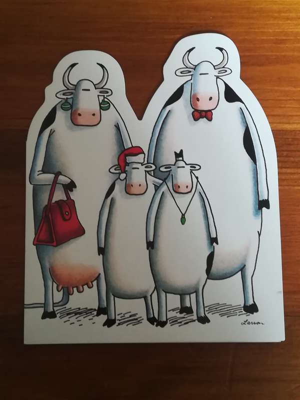 Assorted Postcards and Photos Cows