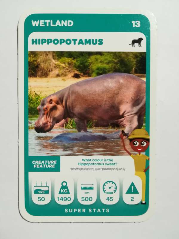 Pick n Pay South African Super Animals (Green) - Card 13 - Hippopotamus