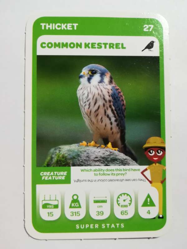 Pick n Pay South African Super Animals (Green) - Card 27 - Common Kestrel