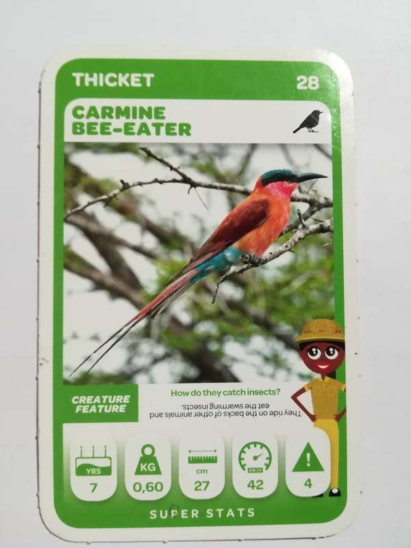 Pick n Pay South African Super Animals (Green) - Card 28 - Carmine Bee-Eater