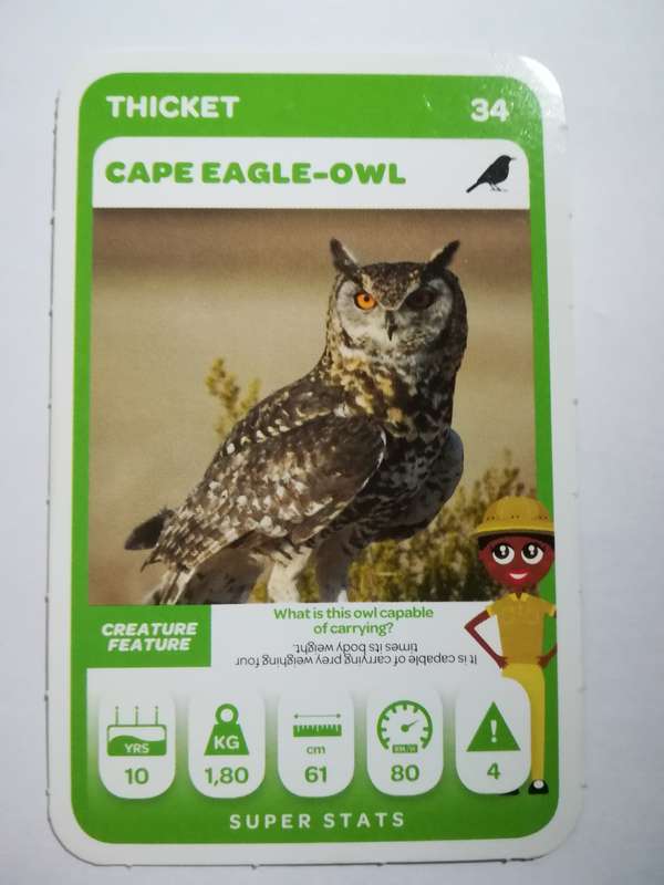 Pick n Pay South African Super Animals (Green) - Card 34 - Cape Eagle-Owl