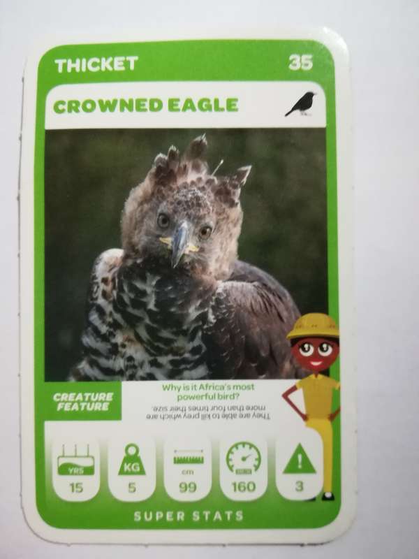 Pick n Pay South African Super Animals (Green) - Card 35 - Crowned Eagle