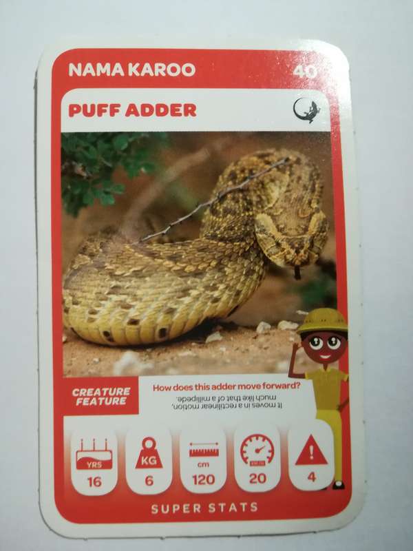 Pick n Pay South African Super Animals (Green) - Card 40 - Puff Adder