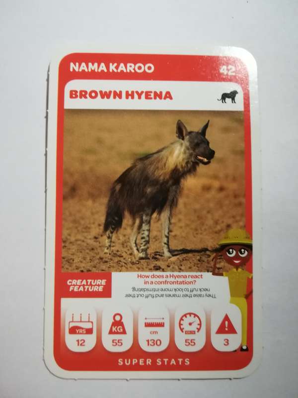 Pick n Pay South African Super Animals (Green) - Card 42 - Brown Hyena