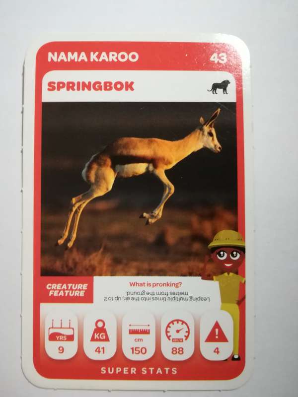 Pick n Pay South African Super Animals (Green) - Card 43 - Springbok