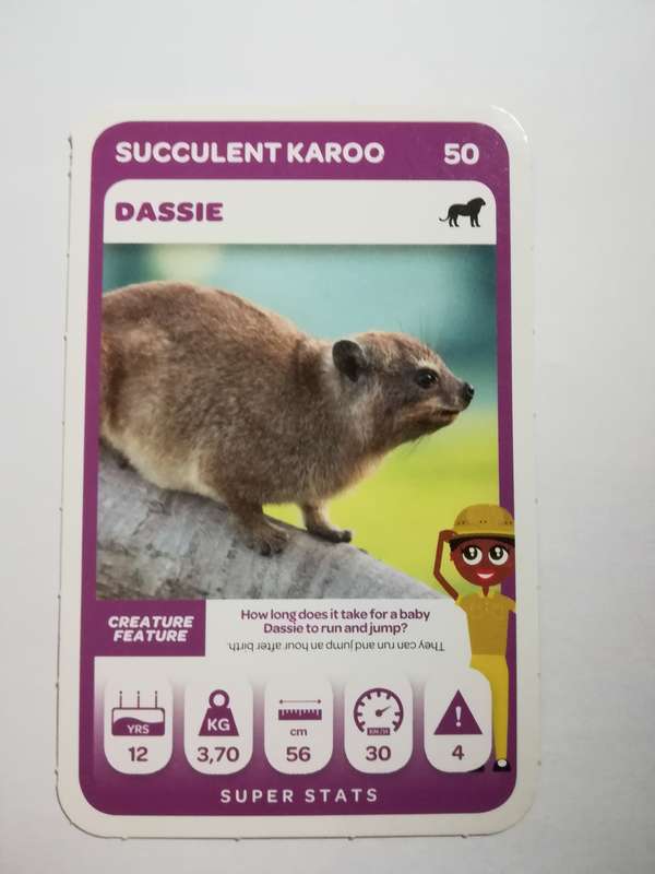 Pick n Pay South African Super Animals (Green) - Card 50 - Dassie