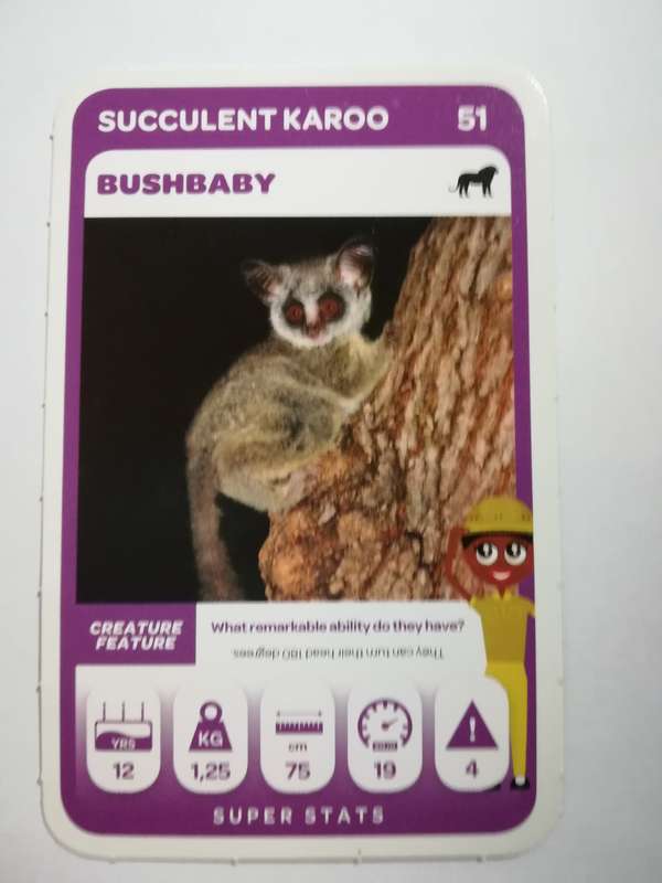 Pick n Pay South African Super Animals (Green) - Card 51 - Bushbaby