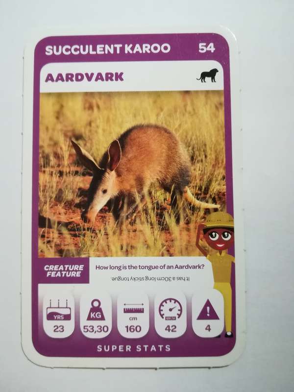 Pick n Pay South African Super Animals (Green) - Card 54 - Aardvark