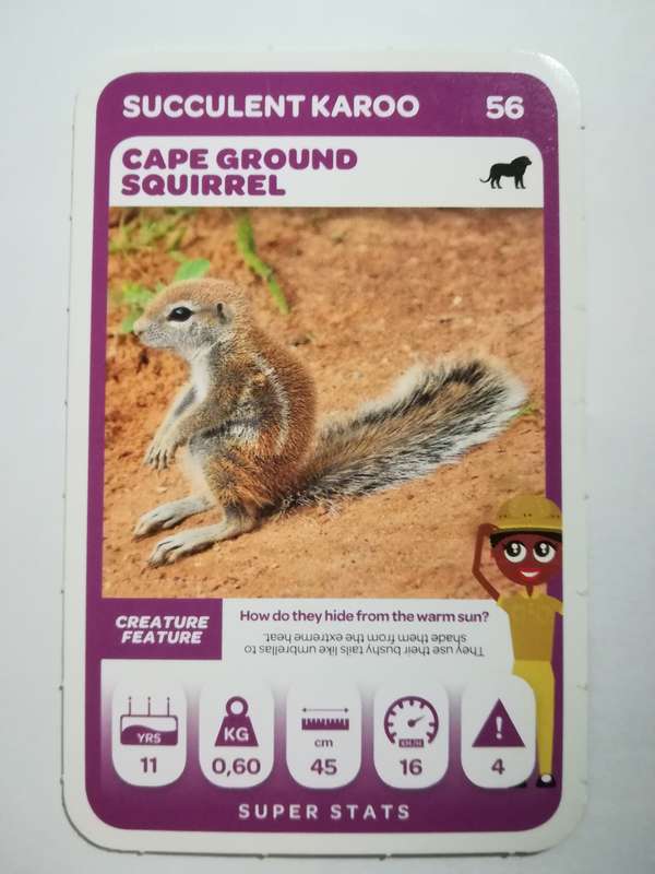 Pick n Pay South African Super Animals (Green) - Card 56 - Cape Ground Squirrel