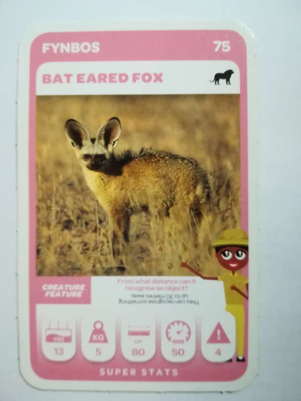 Pick n Pay South African Super Animals (Green) - Card 75 - Bat-Eared Fox