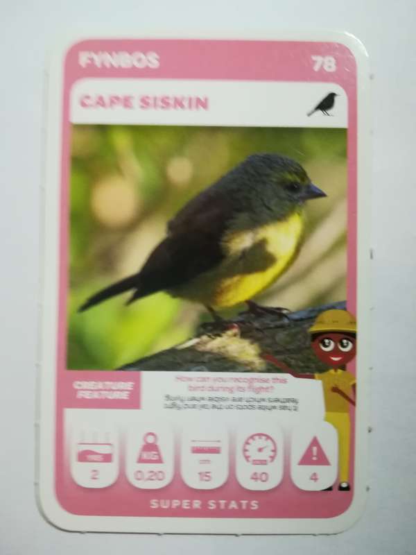 Pick n Pay South African Super Animals (Green) - Card 78 - Cape Siskin