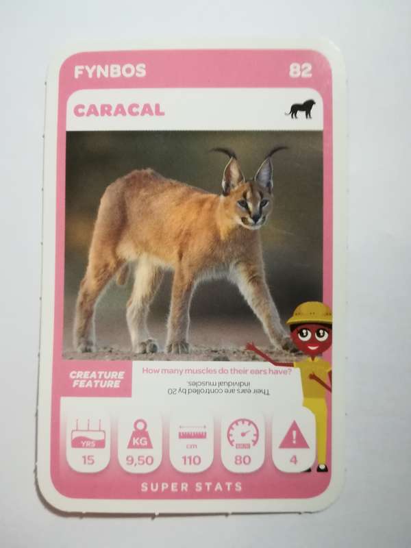 Pick n Pay South African Super Animals (Green) - Card 82 - Caracal