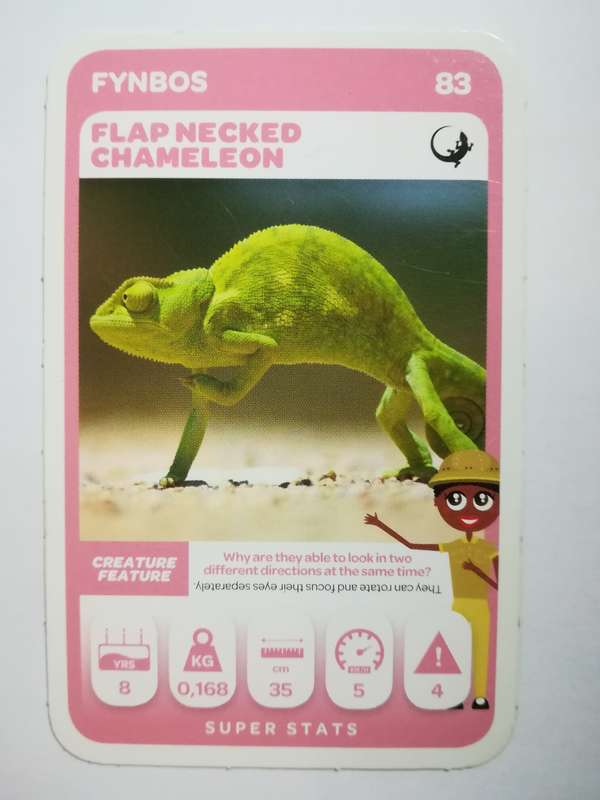 Pick n Pay South African Super Animals (Green) - Card 83 - Flap-Necked Chameleon