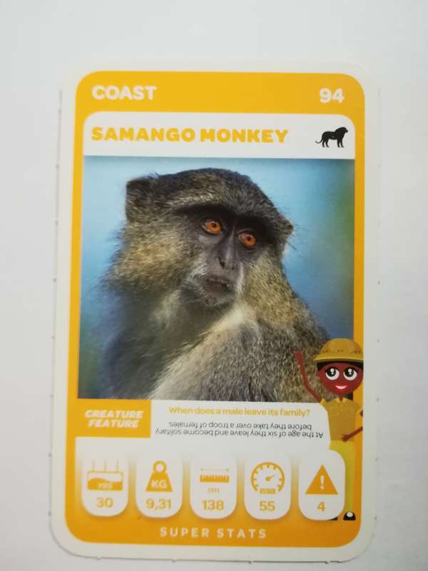 Pick n Pay South African Super Animals (Green) - Card 94 - Samango Monkey