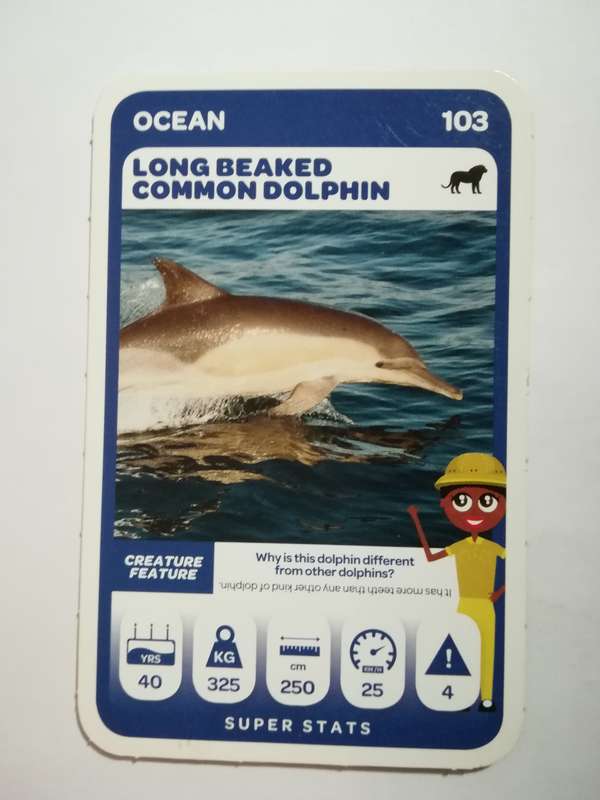 Pick n Pay South African Super Animals (Green) - Card 103 - Long-Beaked Common Dolphin