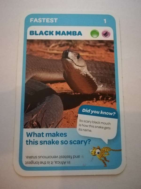 Pick n Pay South African Super Animals (Blue) - Card 1 - Black Mamba