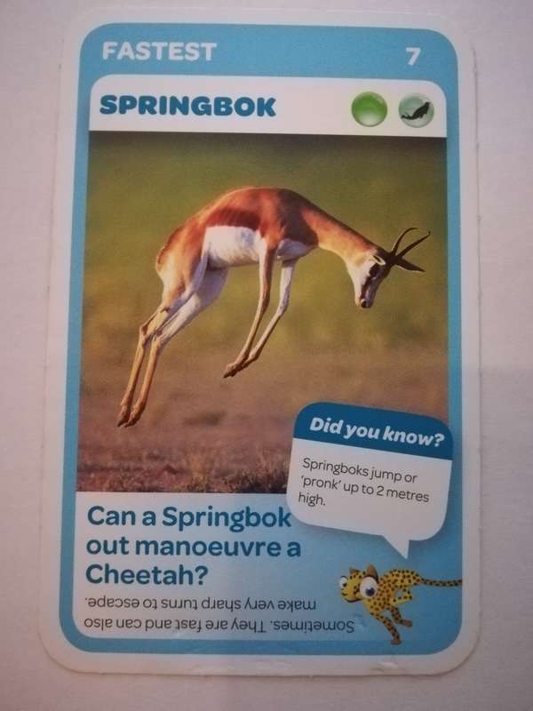 Pick n Pay South African Super Animals (Blue) - Card 7 - Springbok